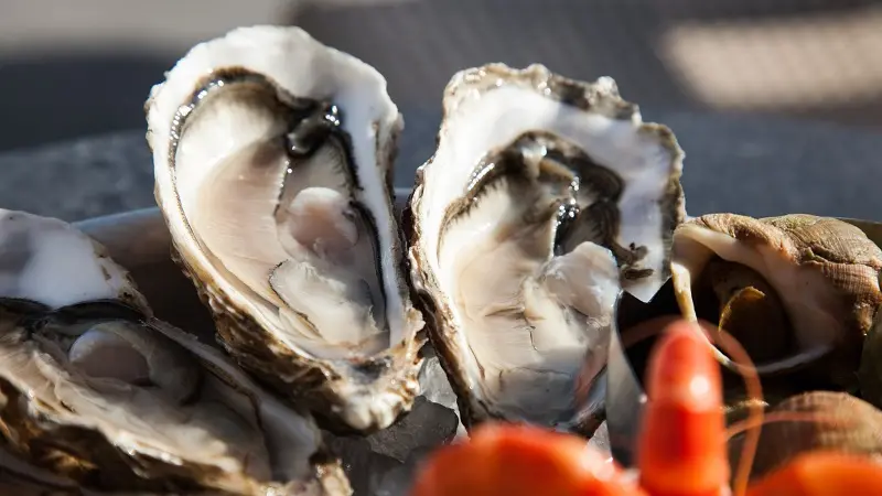 Restaurant - L'Atelier de l'Huître - Cancale