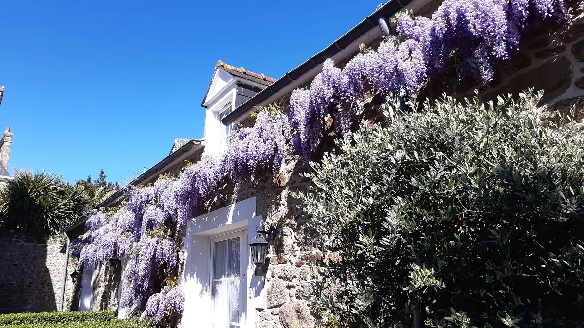 2 Appartement N°3, Clos de la Fontaine Dinard