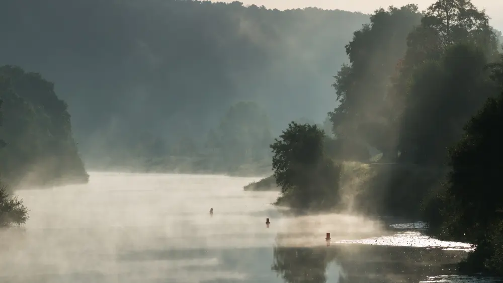 La vallée boisée des Corbinières