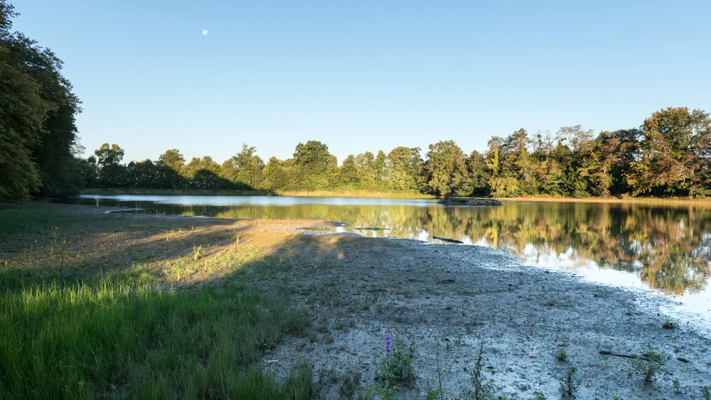 Le parc des Pères