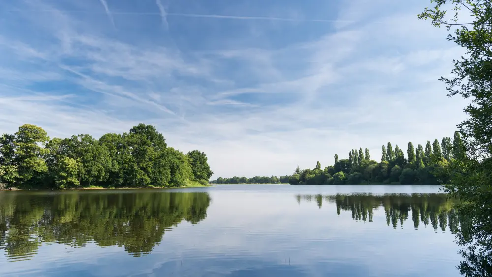 Etang de Châtillon-en-Vendelais