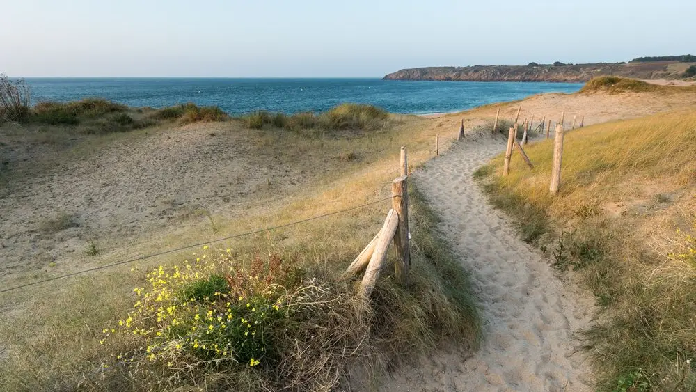 Dunes des chevrets