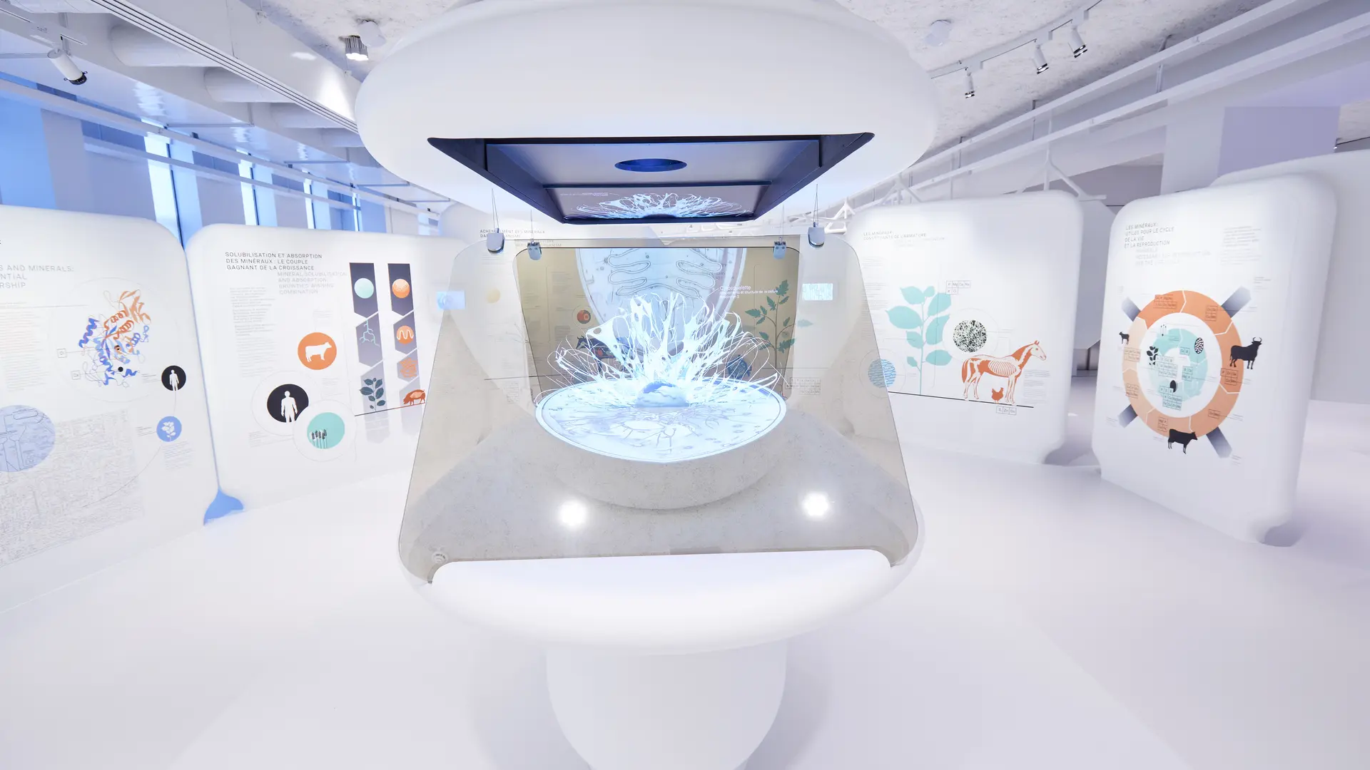 2019-09-MINERALLIUM©Pain-E-EPA28793