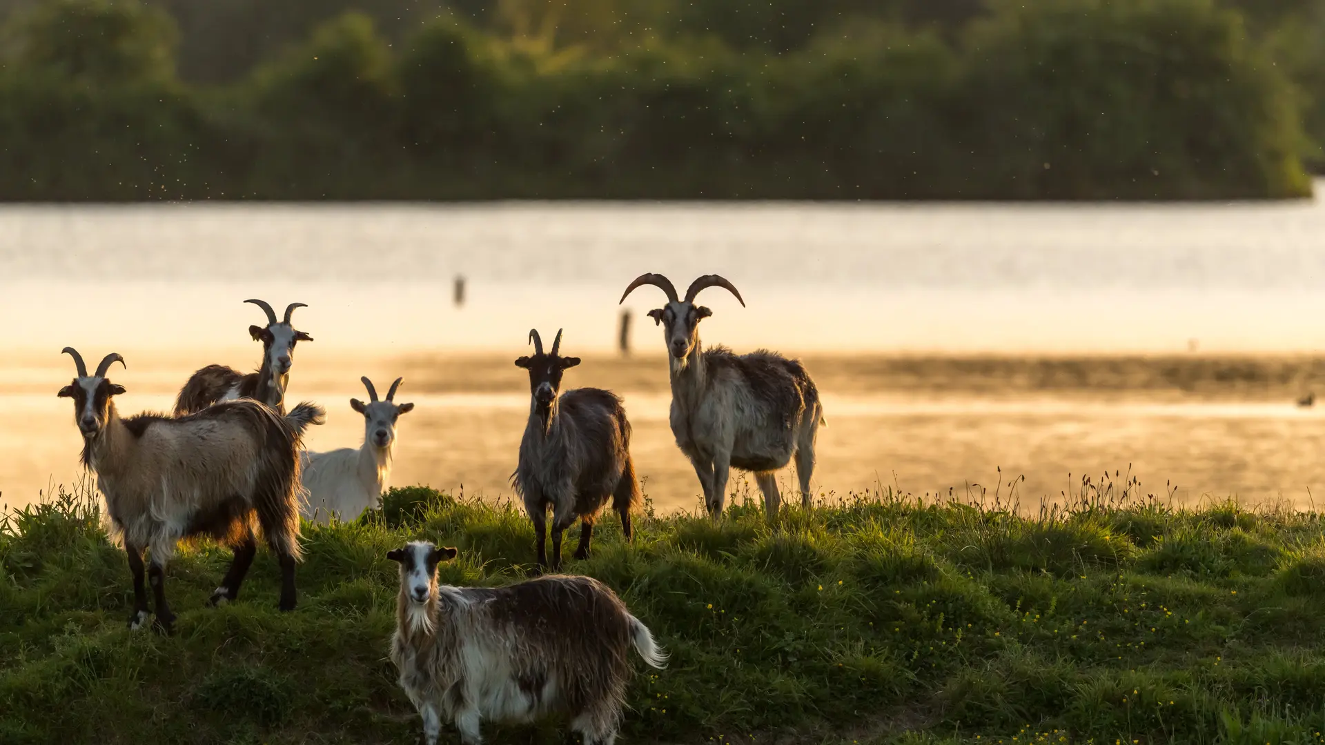 Domaine de Careil Espace Naturel Sensible du Département