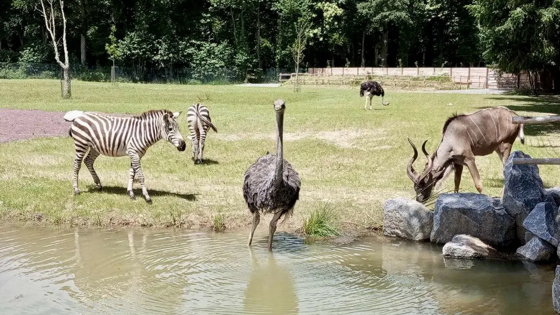 Château et Parc zoologique de la Bourbansais - Pleugueneuc
