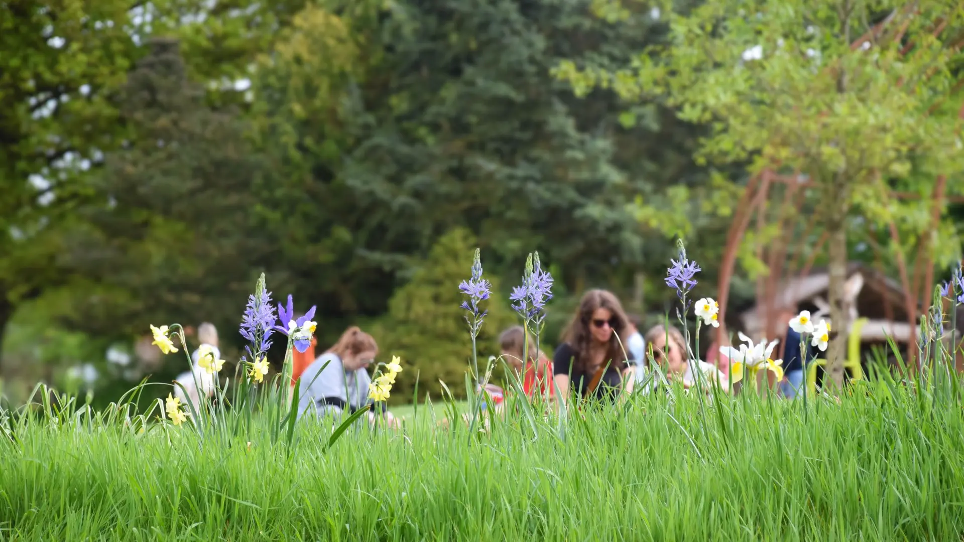 2025-04-21-printemps-jardins-broceliande-2