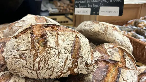 2026-PHOTOS-GUILBAUD (1)