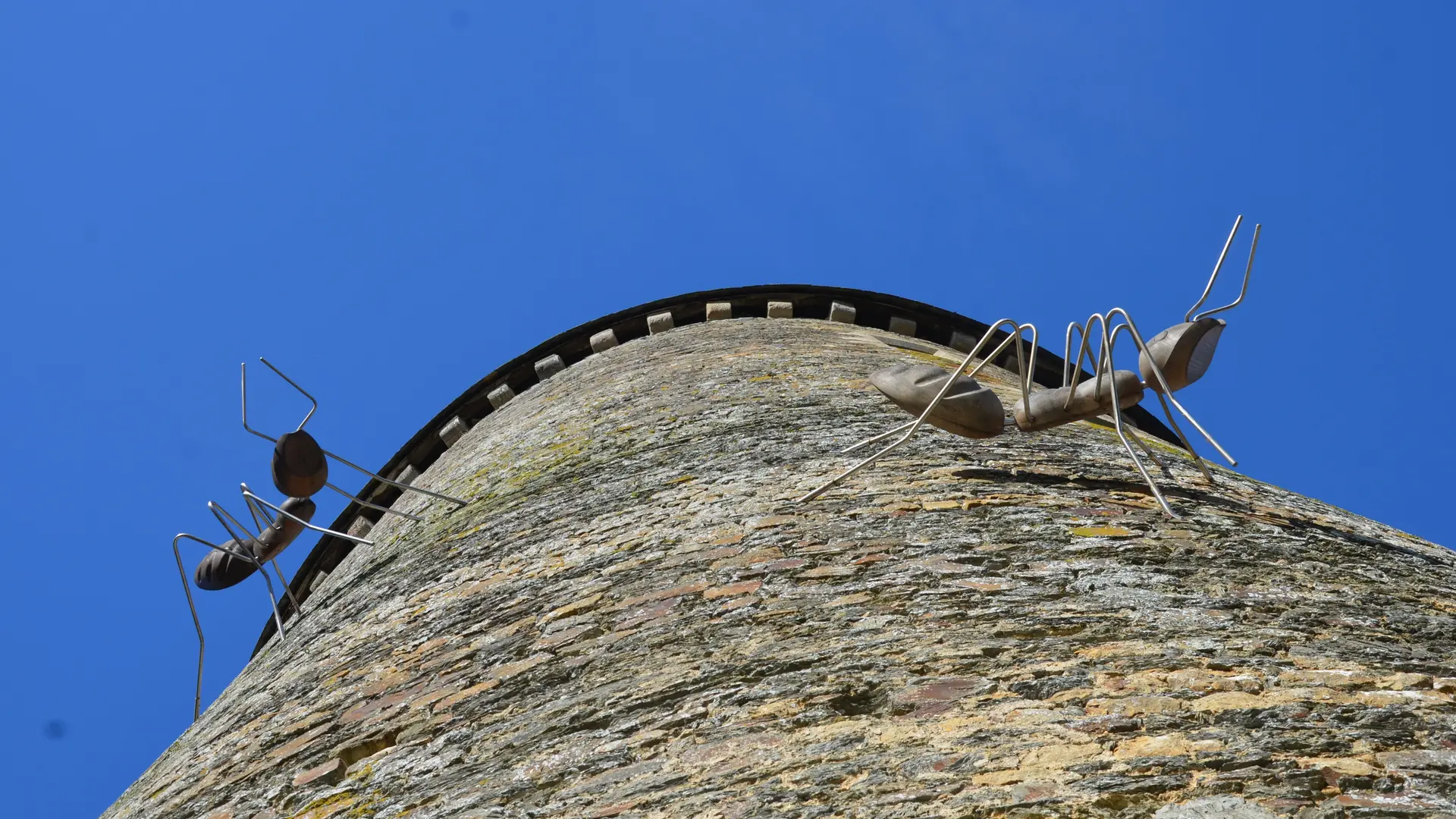 Les fourmis du donjon