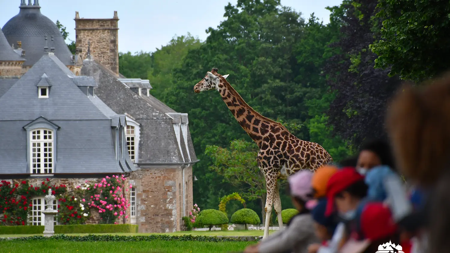 Zoo - Domaine de la Bourbansais - Pleugueneuc