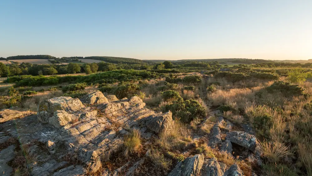 Les mégalithes et landes de Saint Just