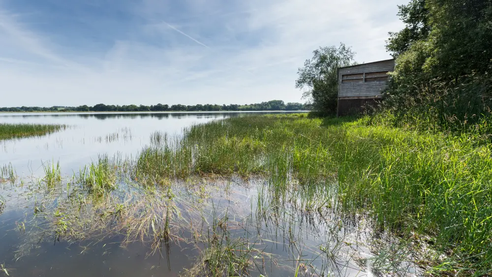 Etang de Châtillon-en-Vendelais