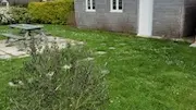 Pétale de Roz