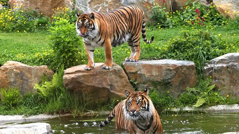 Loisirs-Zoo de Champrepus-Champrepus