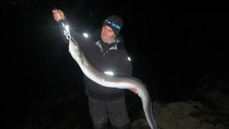 Le Pêcheur Malouin congre