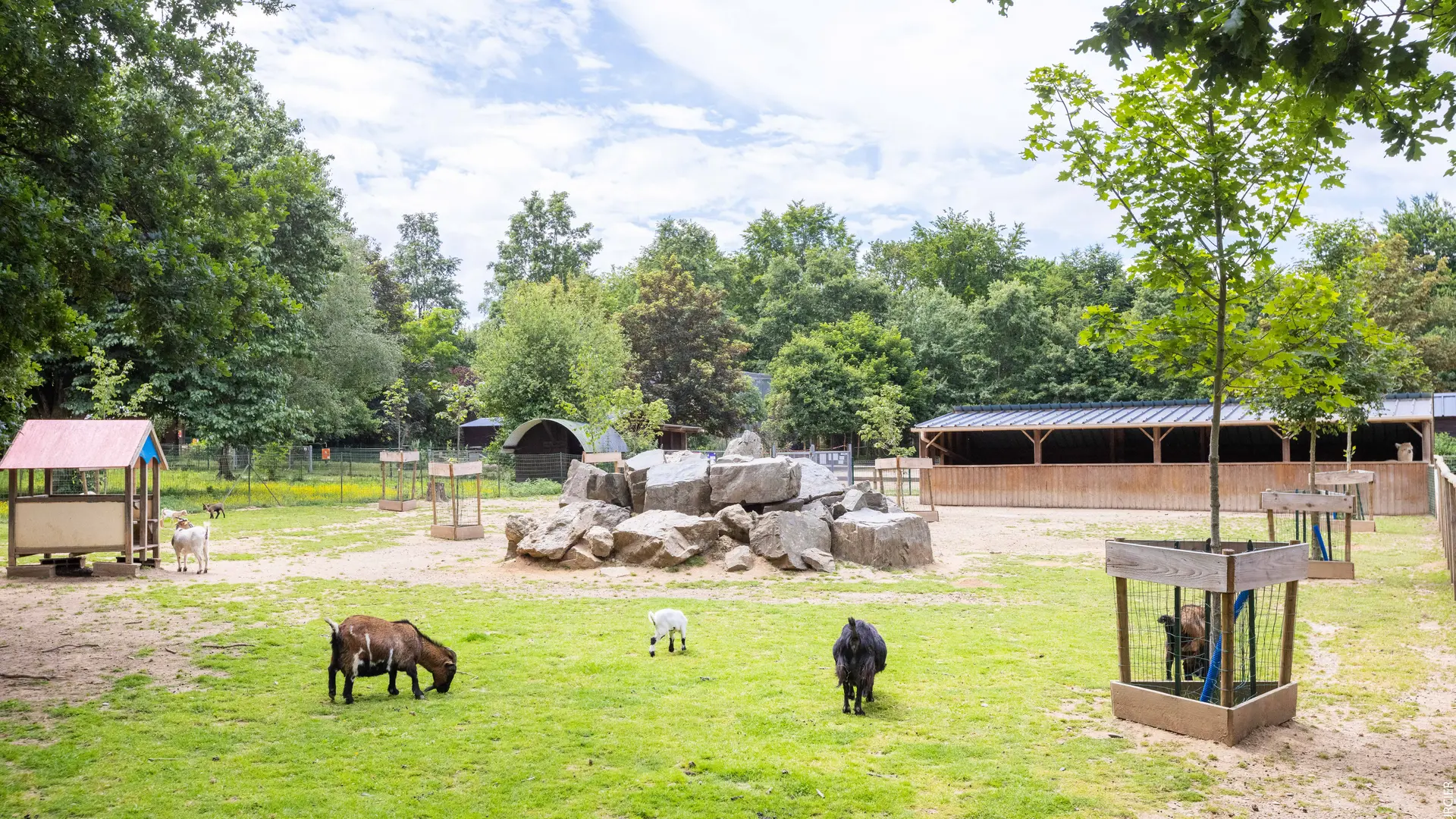 zoo_volcan_10062021_06