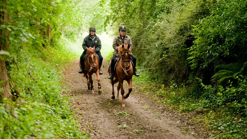 Centre équestre et poney club de Hac à Saint-Gondran