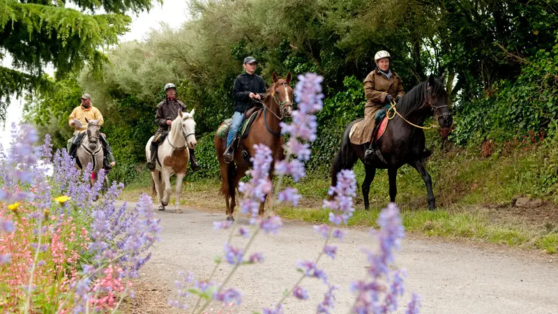 Centre équestre et poney club de Hac à Saint-Gondran