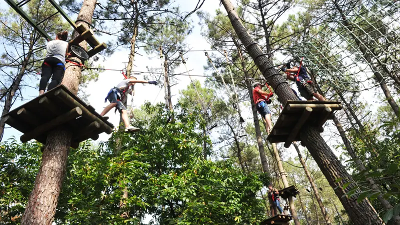 Parc des Grands Chênes - Parcours acrobatique en forêt