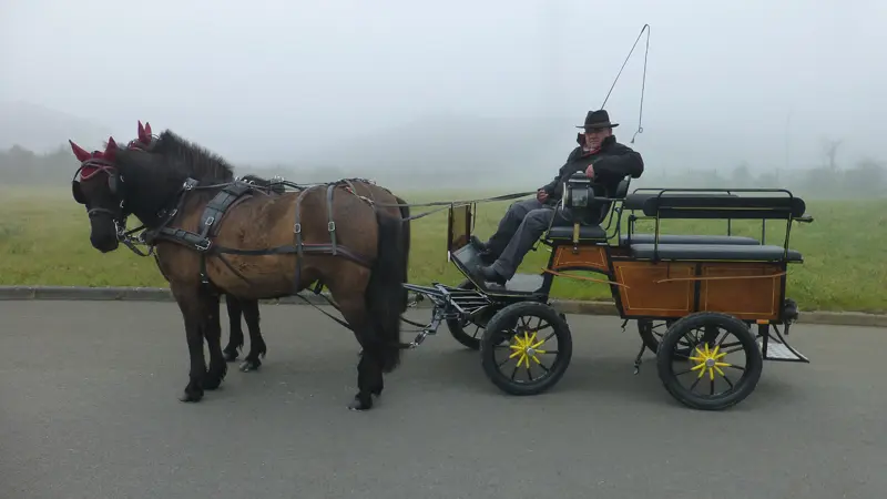 Equi'attelage-cavaliers des fontenelles à Chanteloup