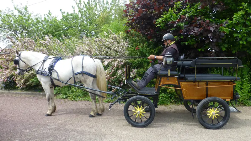 Equi'attelage-cavaliers des fontenelles à Chanteloup