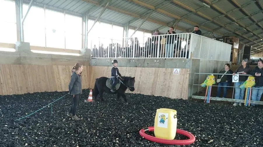 Apprentissage poney