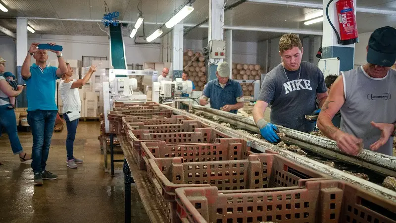 Loisirs-Ferme-Marine-Cancale