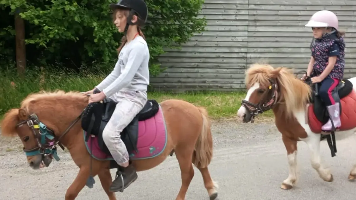 Balade à poney