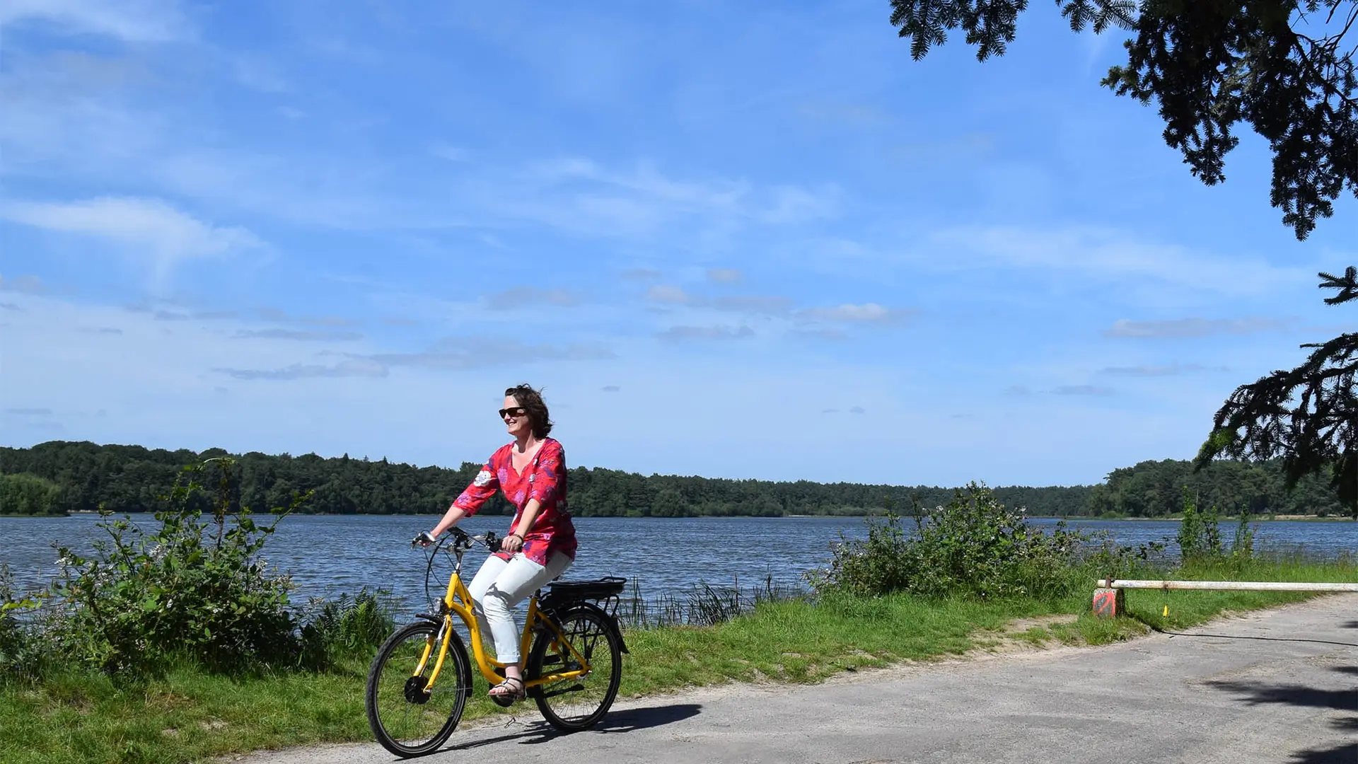 Brocéliande Bike _© OTBrocéliande