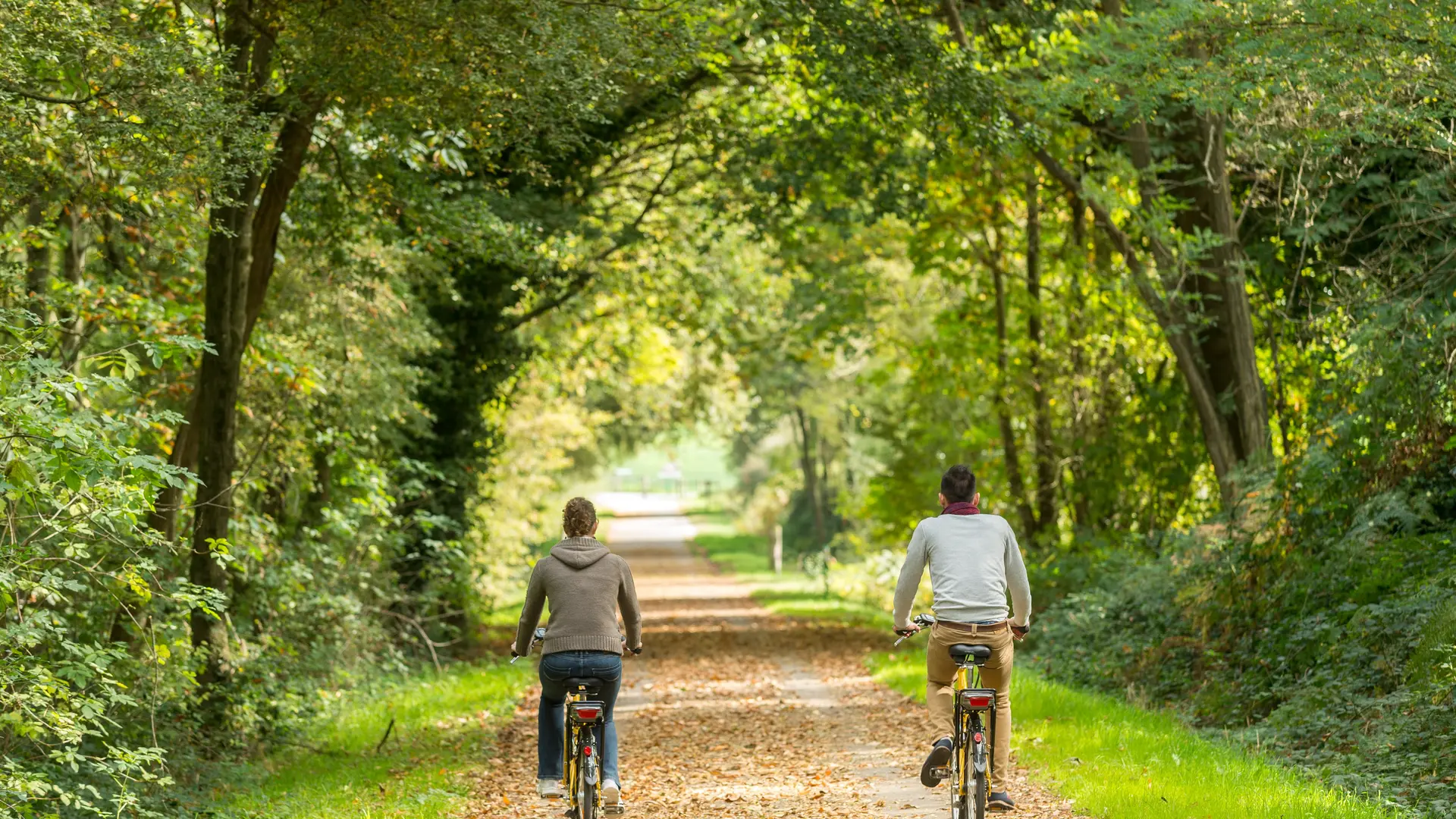 Brocéliande Bike ©BERTHIER-E