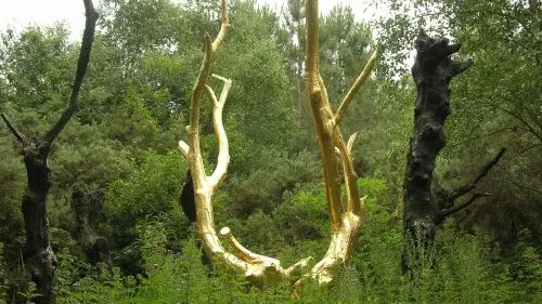 Arbre d'Or Brocéliande