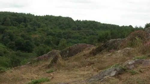 Val Sans Retour Brocéliande