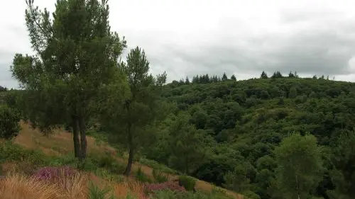 Val sans retour Brocéliande