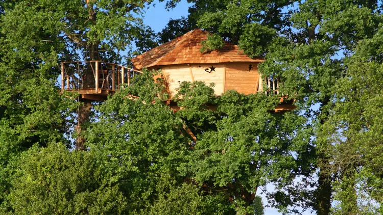 Cabane des Lucioles - Manoir de l'Alleu