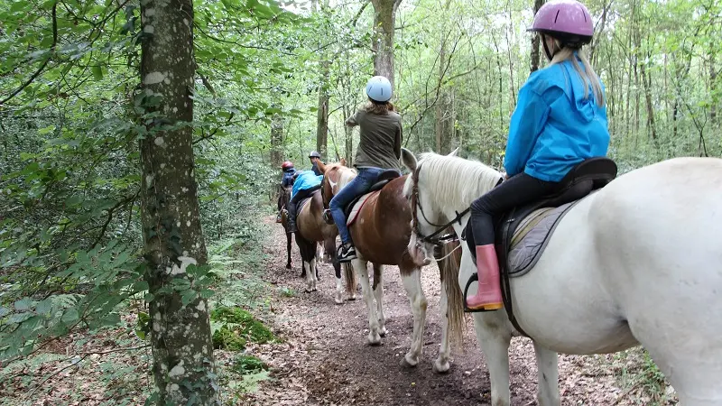 Centre equestre du lac de Tremelin