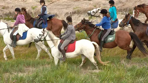 Centre équestre et poney club de la Foucheraie