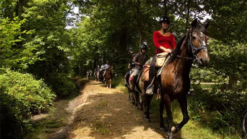 Centre équestre et poney club de la Foucheraie