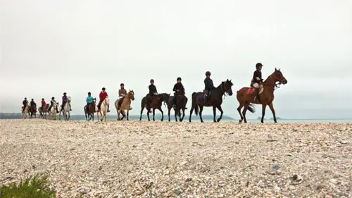 Centre équestre et poney club de la Foucheraie