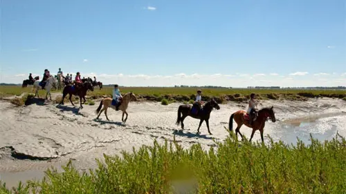 Centre équestre et poney club de la Foucheraie