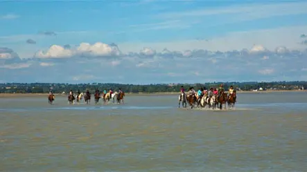 Centre équestre et poney club de la Foucheraie