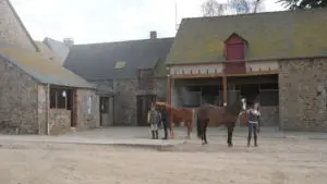 Centre équestre la cravache