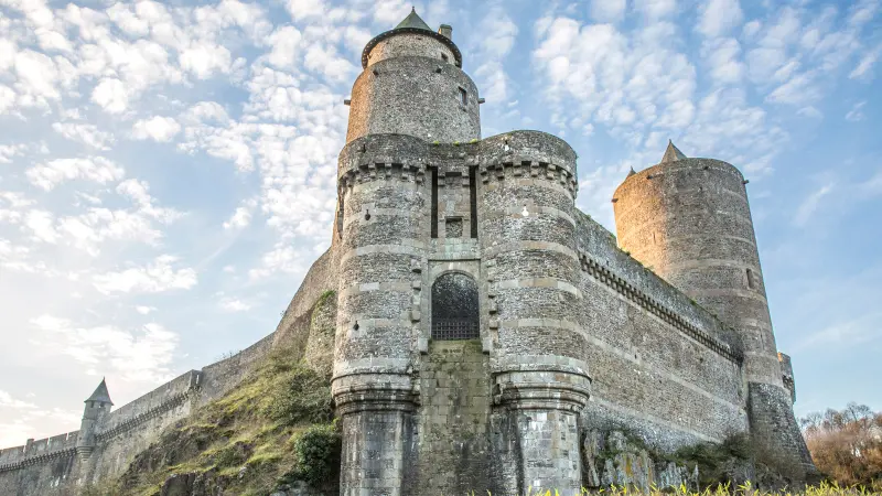 Chateau de Fougeres-vue remparts-®Lionel Le Saux 600px