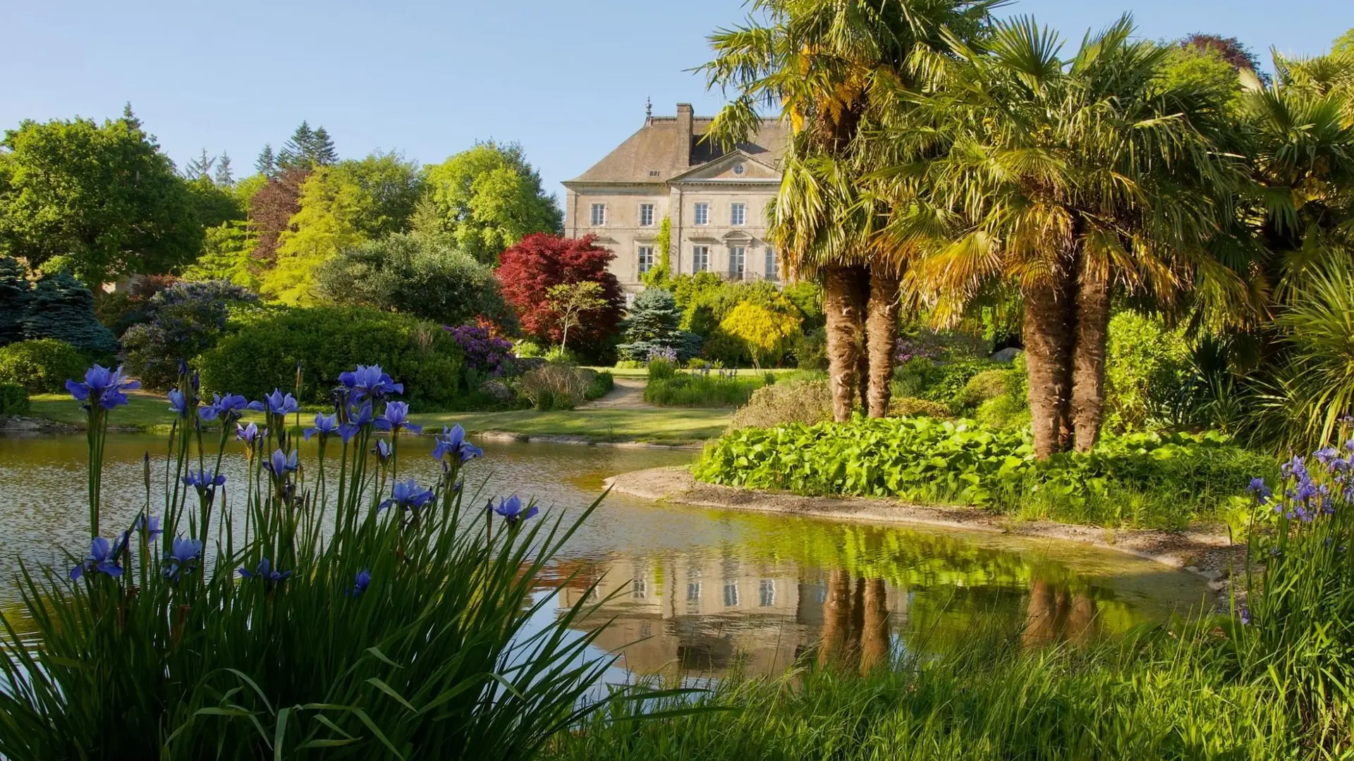 Chambres d'hôtes Château de La Foltière (1)