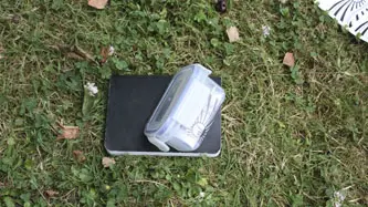 Chasse aux trésors à la Roche aux Fées