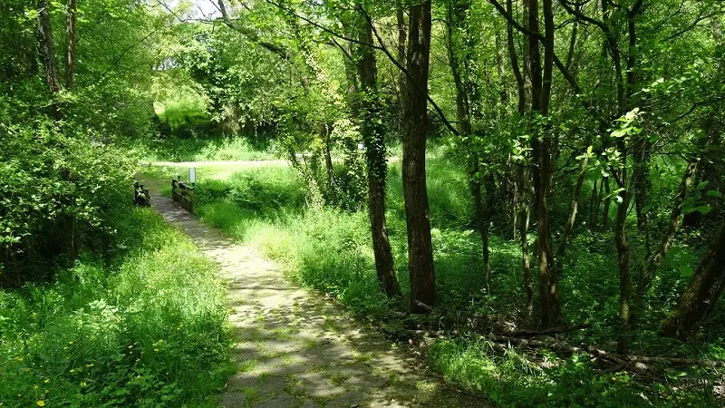 Chemin du Jardin de l'eau