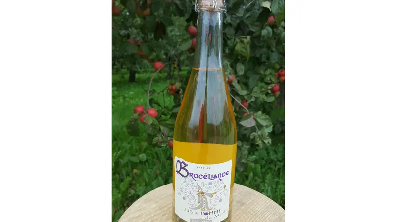 Cidre de Brocéliande. (1)