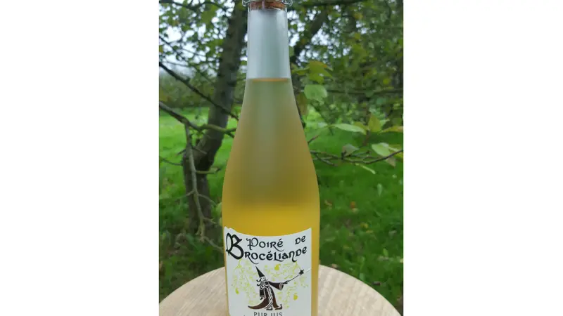 Cidre de Brocéliande. (2)