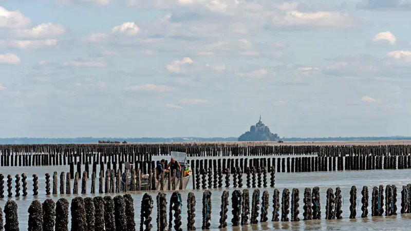 AOP Moules de bouchot de la Baie du Mont-Saint-Michel