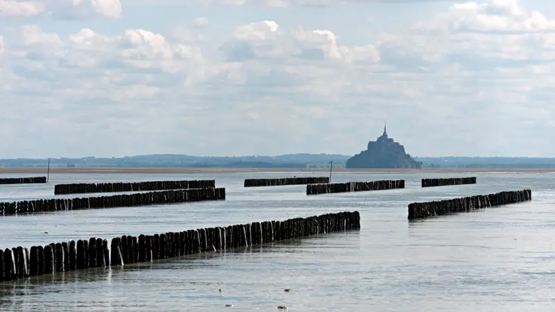 AOP Moules de bouchot de la Baie du Mont-Saint-Michel