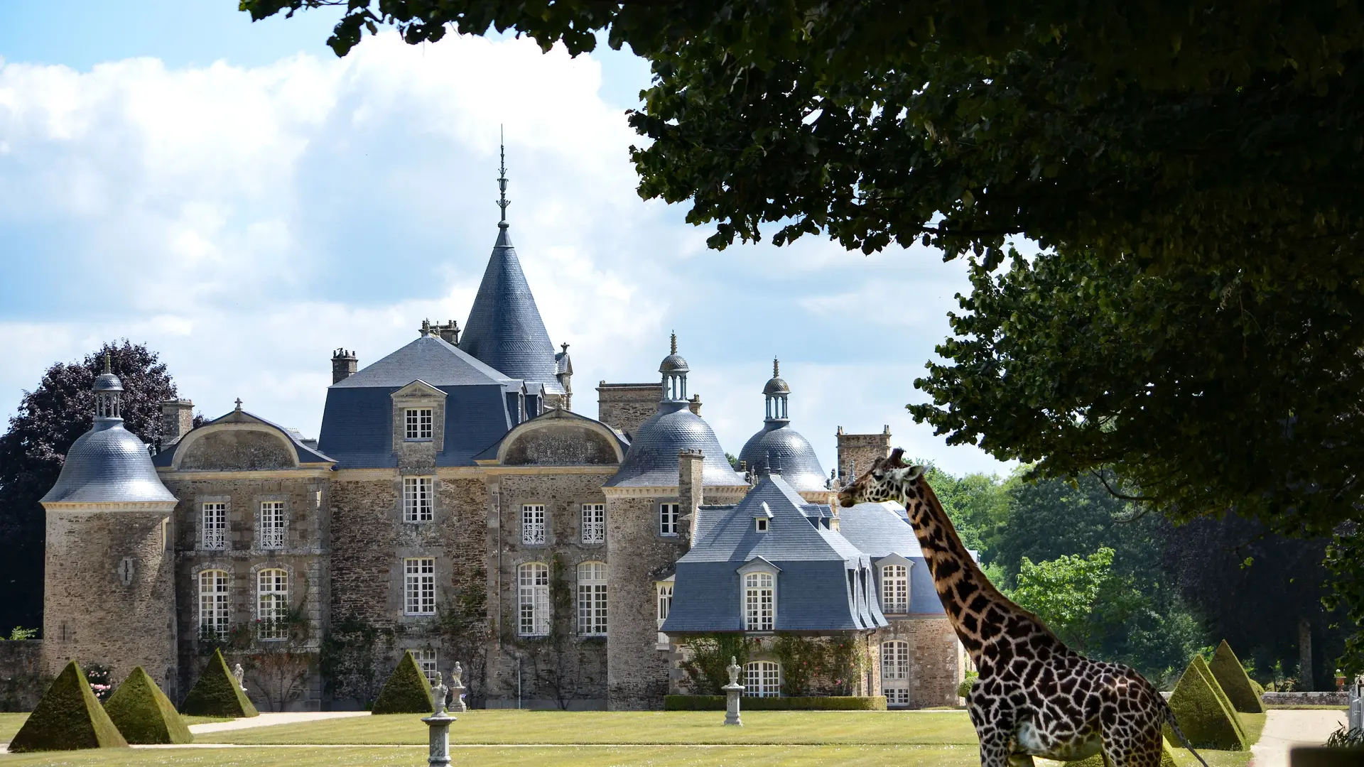 Château et Parc zoologique de la Bourbansais - Pleugueneuc