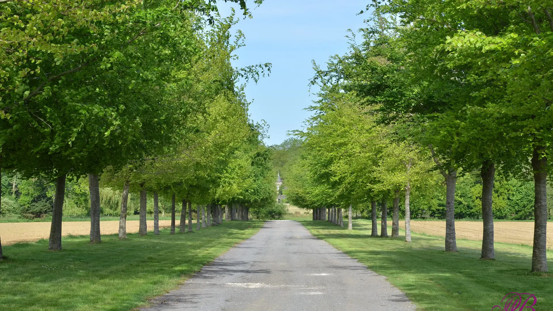 Allée -Château de La Motte Beaumanoir - Pleugueneuc